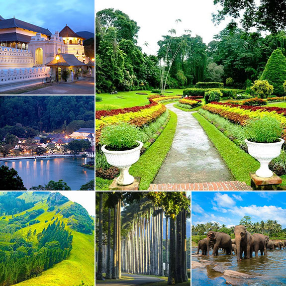 Sri Lanka Tours-Dambulla